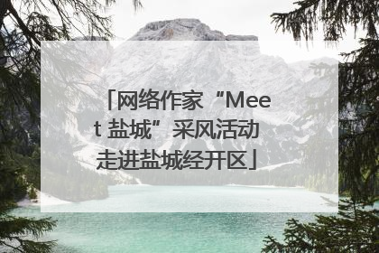 网络作家“Meet 盐城”采风活动走进盐城经开区