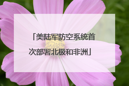 美陆军防空系统首次部署北极和非洲
