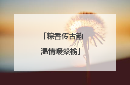 粽香传古韵 温情暖桑榆