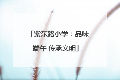 紫东路小学：品味端午 传承文明