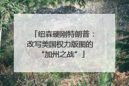 纽森硬刚特朗普：改写美国权力版图的 “加州之战”