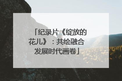 纪录片《绽放的花儿》：共绘融合发展时代画卷