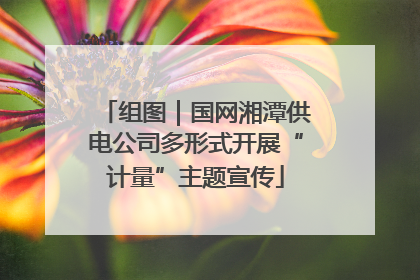 组图｜国网湘潭供电公司多形式开展“计量”主题宣传