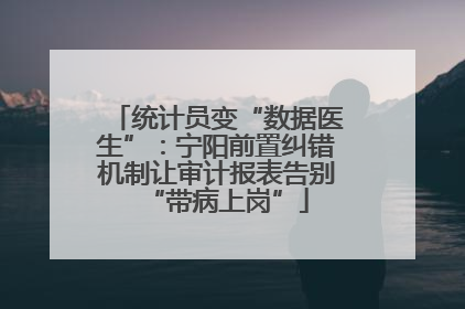统计员变“数据医生”：宁阳前置纠错机制让审计报表告别“带病上岗”