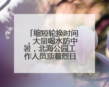缩短轮换时间，大量喝水防中暑，北海公园工作人员顶着烈日验票