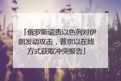 俄罗斯谴责以色列对伊朗发动攻击，普京以在线方式获取冲突报告