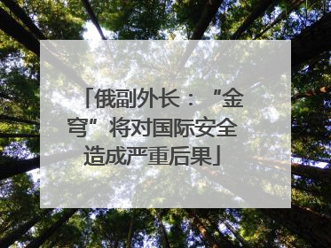 俄副外长：“金穹”将对国际安全造成严重后果