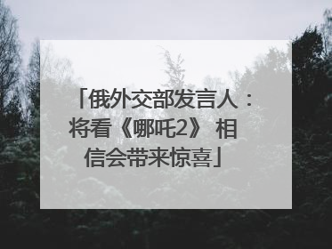 俄外交部发言人：将看《哪吒2》 相信会带来惊喜