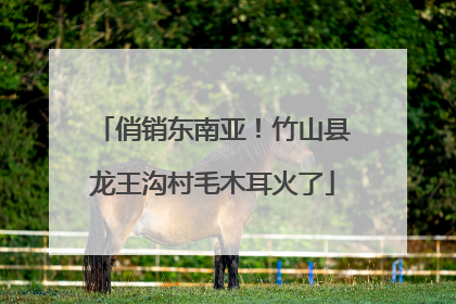 俏销东南亚！竹山县龙王沟村毛木耳火了