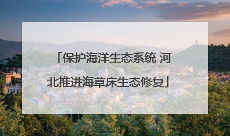 保护海洋生态系统 河北推进海草床生态修复
