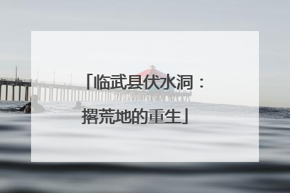 临武县伏水洞：撂荒地的重生