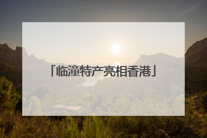 临潼特产亮相香港