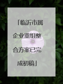 临沂市属企业重组整合方案已完成初稿