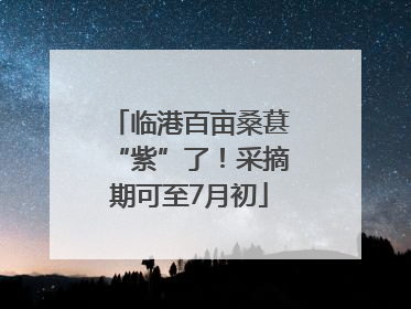 临港百亩桑葚“紫”了！采摘期可至7月初