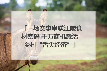 一场赛事串联江陵食材密码 千万商机激活乡村“舌尖经济”