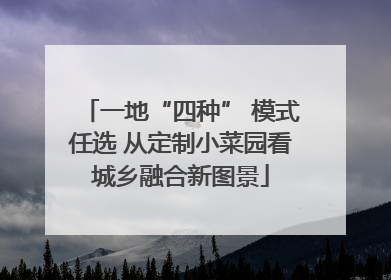 一地“四种” 模式任选 从定制小菜园看城乡融合新图景