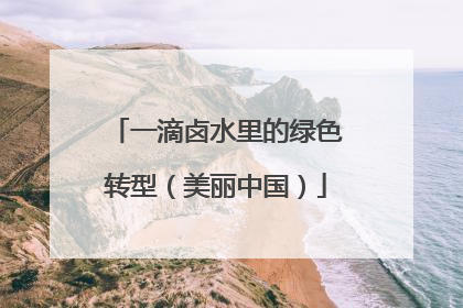 一滴卤水里的绿色转型（美丽中国）