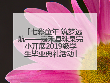 七彩童年 筑梦远航——嘉禾县珠泉完小开展2019级学生毕业典礼活动