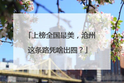 上榜全国最美，沧州这条路凭啥出圈？