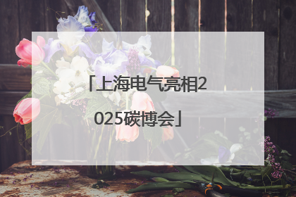 上海电气亮相2025碳博会