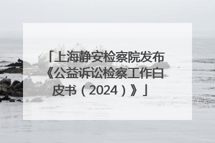 上海静安检察院发布《公益诉讼检察工作白皮书（2024）》