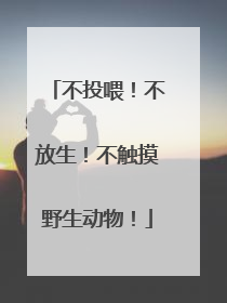 不投喂！不放生！不触摸野生动物！