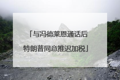 与冯德莱恩通话后 特朗普同意推迟加税