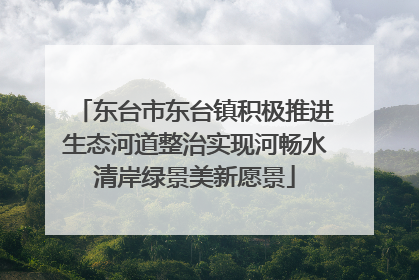 东台市东台镇积极推进生态河道整治实现河畅水清岸绿景美新愿景