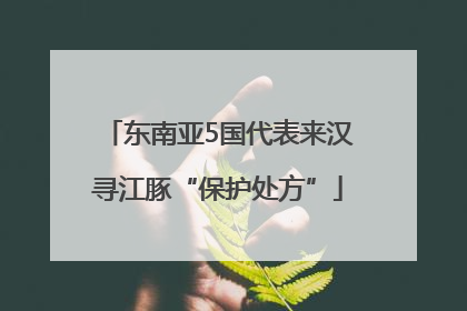东南亚5国代表来汉寻江豚“保护处方”