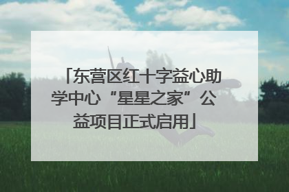 东营区红十字益心助学中心“星星之家”公益项目正式启用