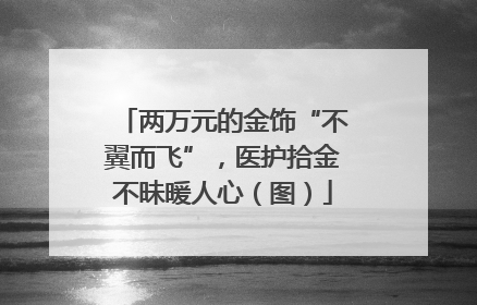 两万元的金饰“不翼而飞”，医护拾金不昧暖人心（图）