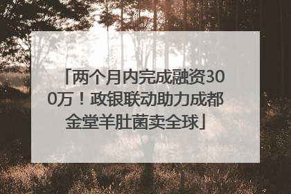 两个月内完成融资300万！政银联动助力成都金堂羊肚菌卖全球