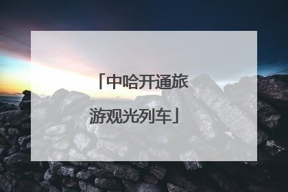 中哈开通旅游观光列车