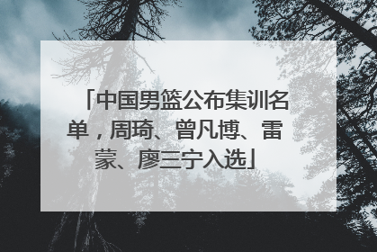 中国男篮公布集训名单，周琦、曾凡博、雷蒙、廖三宁入选