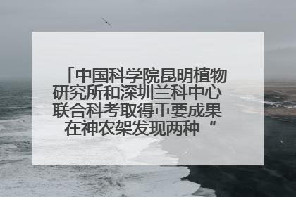 中国科学院昆明植物研究所和深圳兰科中心联合科考取得重要成果 在神农架发现两种“国保”级兰花