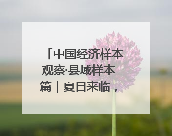 中国经济样本观察·县域样本篇｜夏日来临，这座滨海小城吸引众多年轻人打卡……