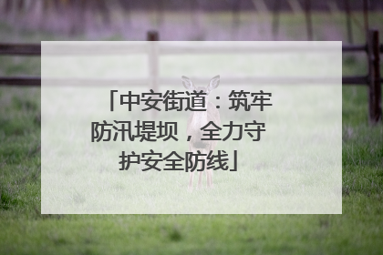 中安街道：筑牢防汛堤坝，全力守护安全防线