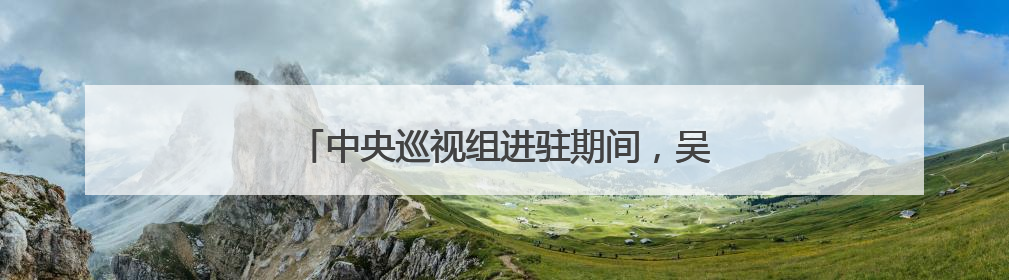 中央巡视组进驻期间，吴建平主动向组织交代问题
