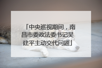 中央巡视期间，南昌市委政法委书记吴建平主动交代问题