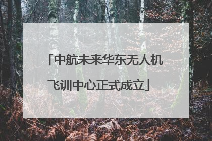 中航未来华东无人机飞训中心正式成立