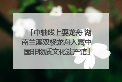 中轴线上耍龙舟 湖南兰溪双桡龙舟入藏中国非物质文化遗产馆
