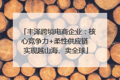 丰泽跨境电商企业：核心竞争力+柔性供应链 实现越山海、卖全球