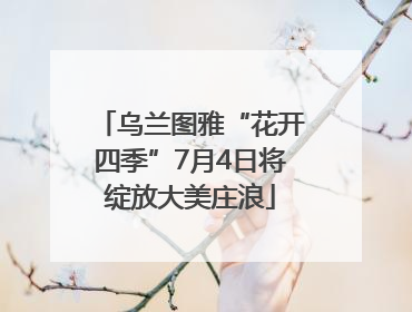 乌兰图雅“花开四季”7月4日将绽放大美庄浪