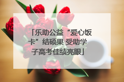 乐助公益“爱心饭卡”结硕果 受助学子高考佳绩亮眼
