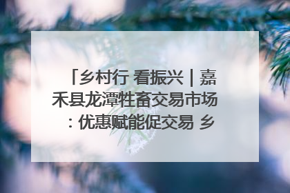 乡村行 看振兴｜嘉禾县龙潭牲畜交易市场：优惠赋能促交易 乡村振兴添动能