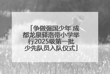 争做强国少年 成都龙泉驿洛带小学举行2025级第一批少先队员入队仪式