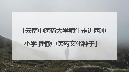 云南中医药大学师生走进西冲小学 播撒中医药文化种子