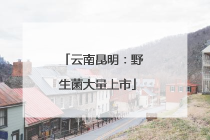 云南昆明：野生菌大量上市