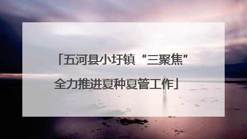 五河县小圩镇“三聚焦”全力推进夏种夏管工作