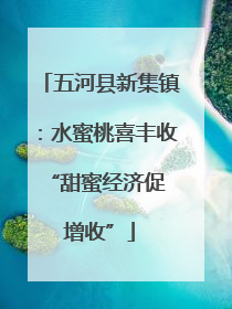 五河县新集镇：水蜜桃喜丰收 “甜蜜经济促增收”